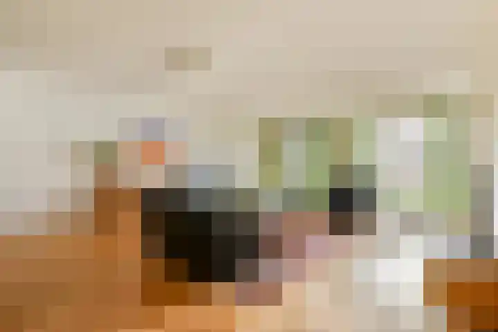 Laan van Archeologie 17 Beverwijk thumbnail 13