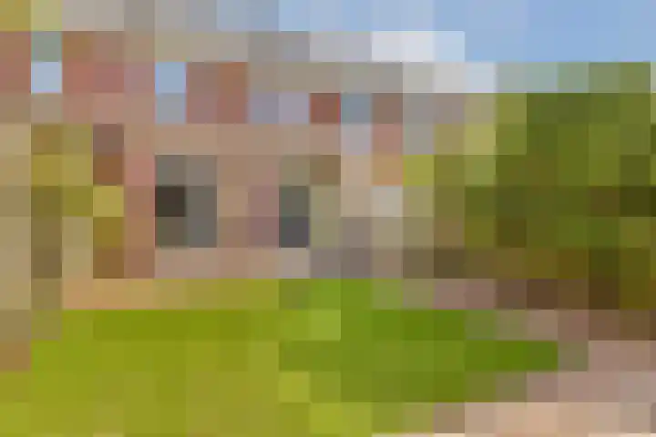 Laan van Archeologie 17 Beverwijk thumbnail 15