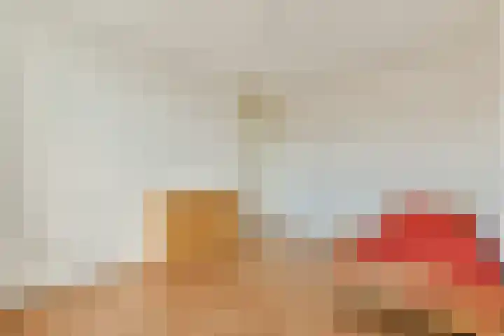Laan van Archeologie 17 Beverwijk thumbnail 17