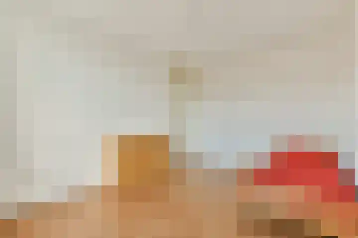 Laan van Archeologie 17 Beverwijk thumbnail 23