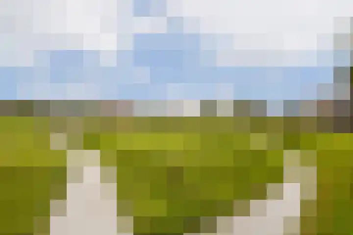 Laan van Archeologie 17 Beverwijk thumbnail 32