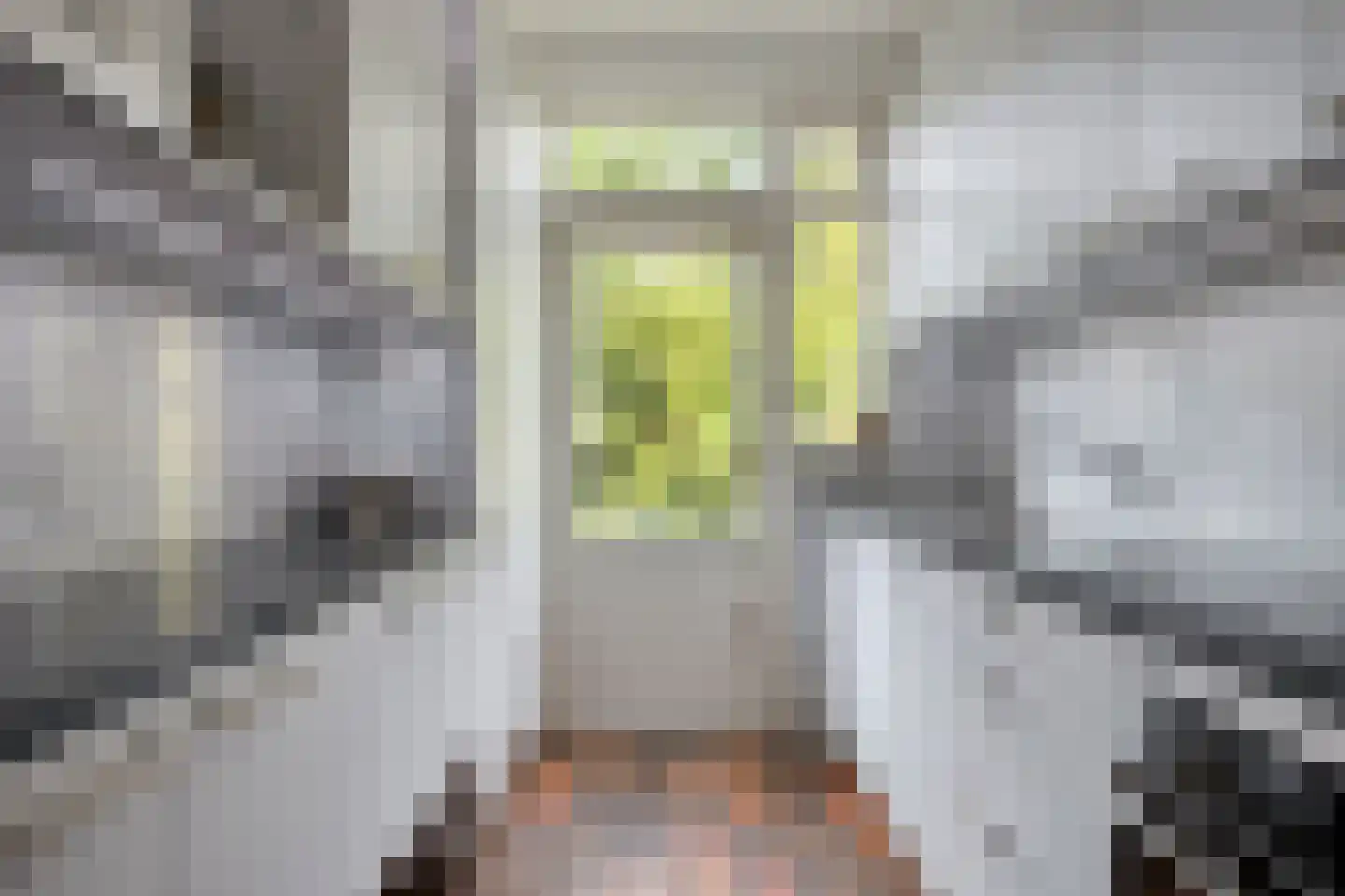 Laan van Arenstein 20 Oegstgeest thumbnail 11