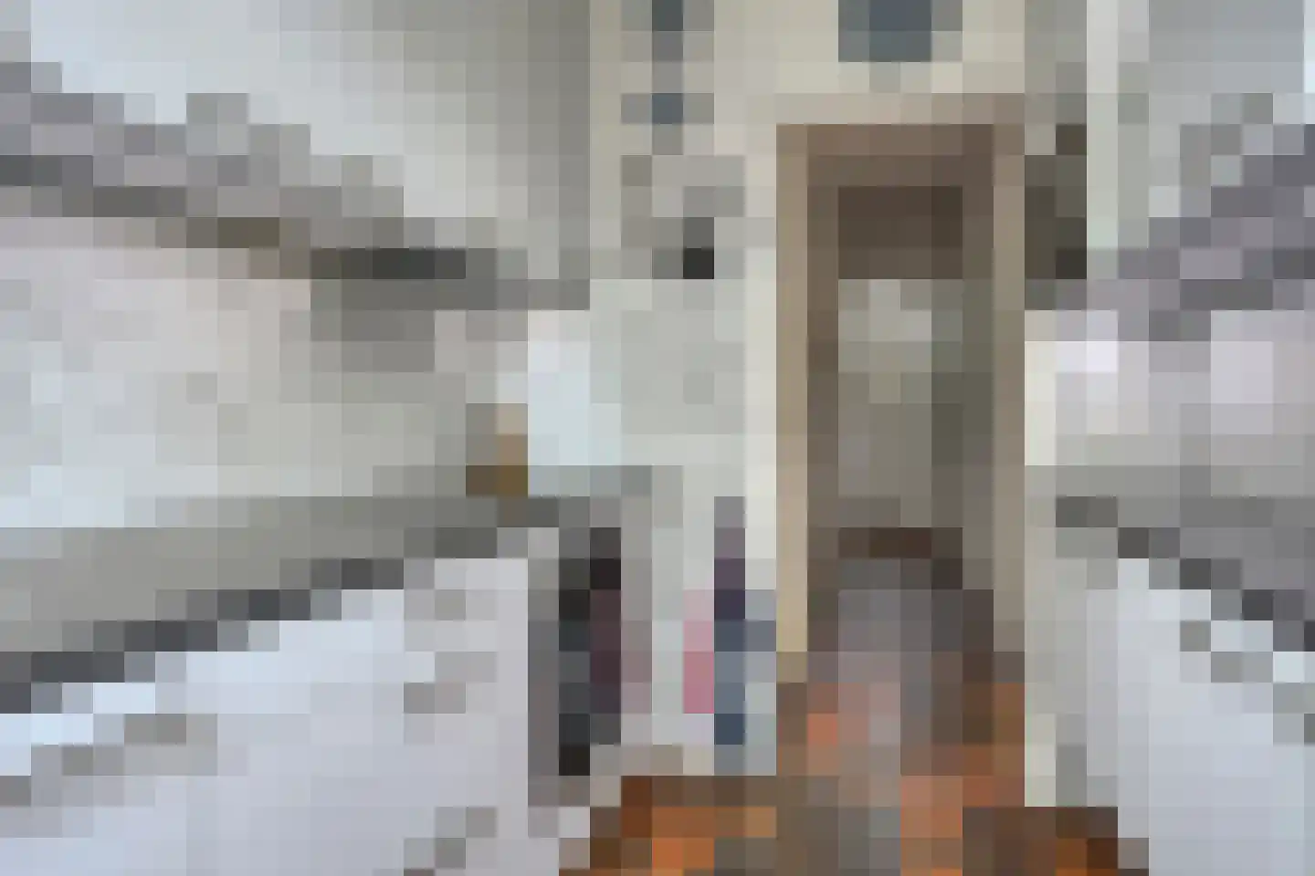 Laan van Arenstein 20 Oegstgeest thumbnail 12