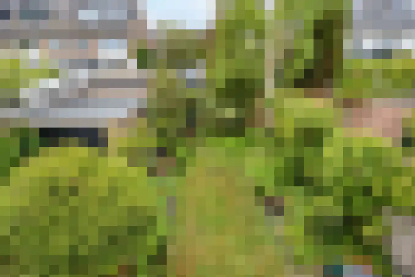 Laan van Arenstein 20 Oegstgeest thumbnail 29