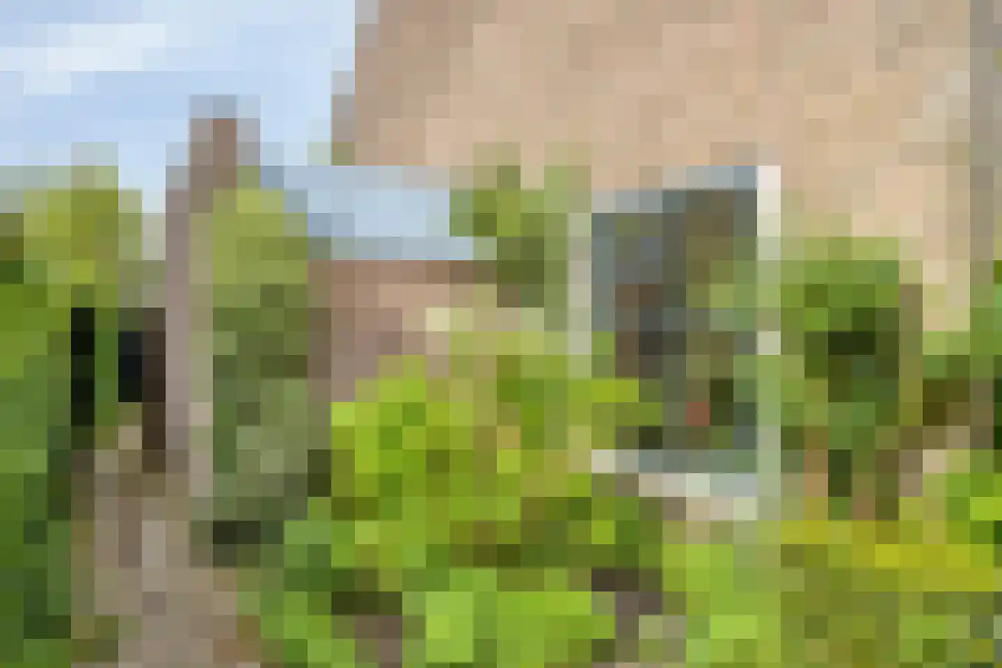 Laan van Arenstein 20 Oegstgeest thumbnail 32