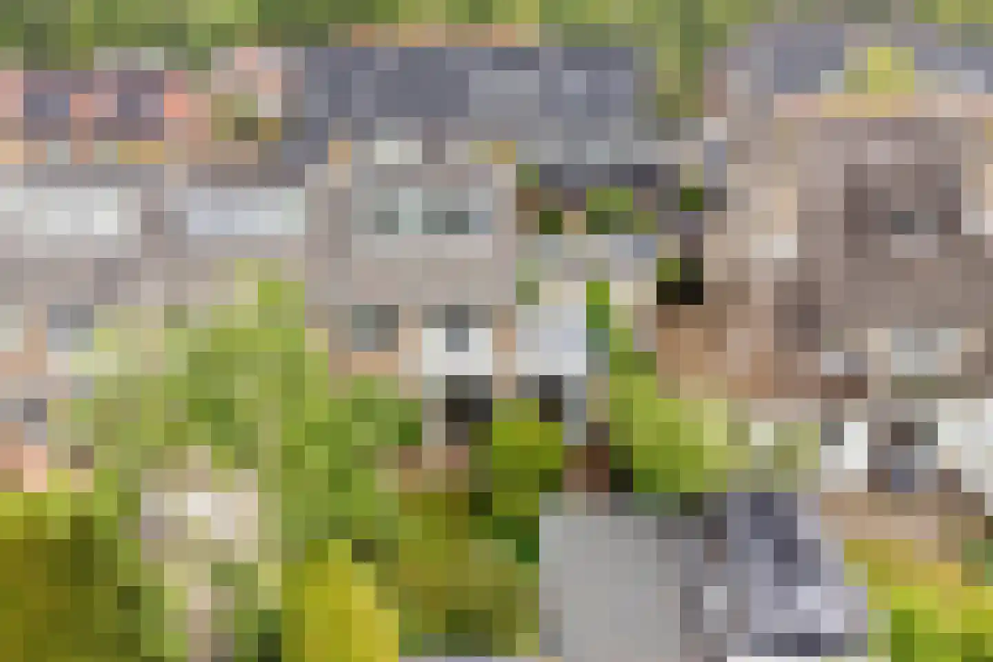 Laan van Arenstein 20 Oegstgeest thumbnail 35