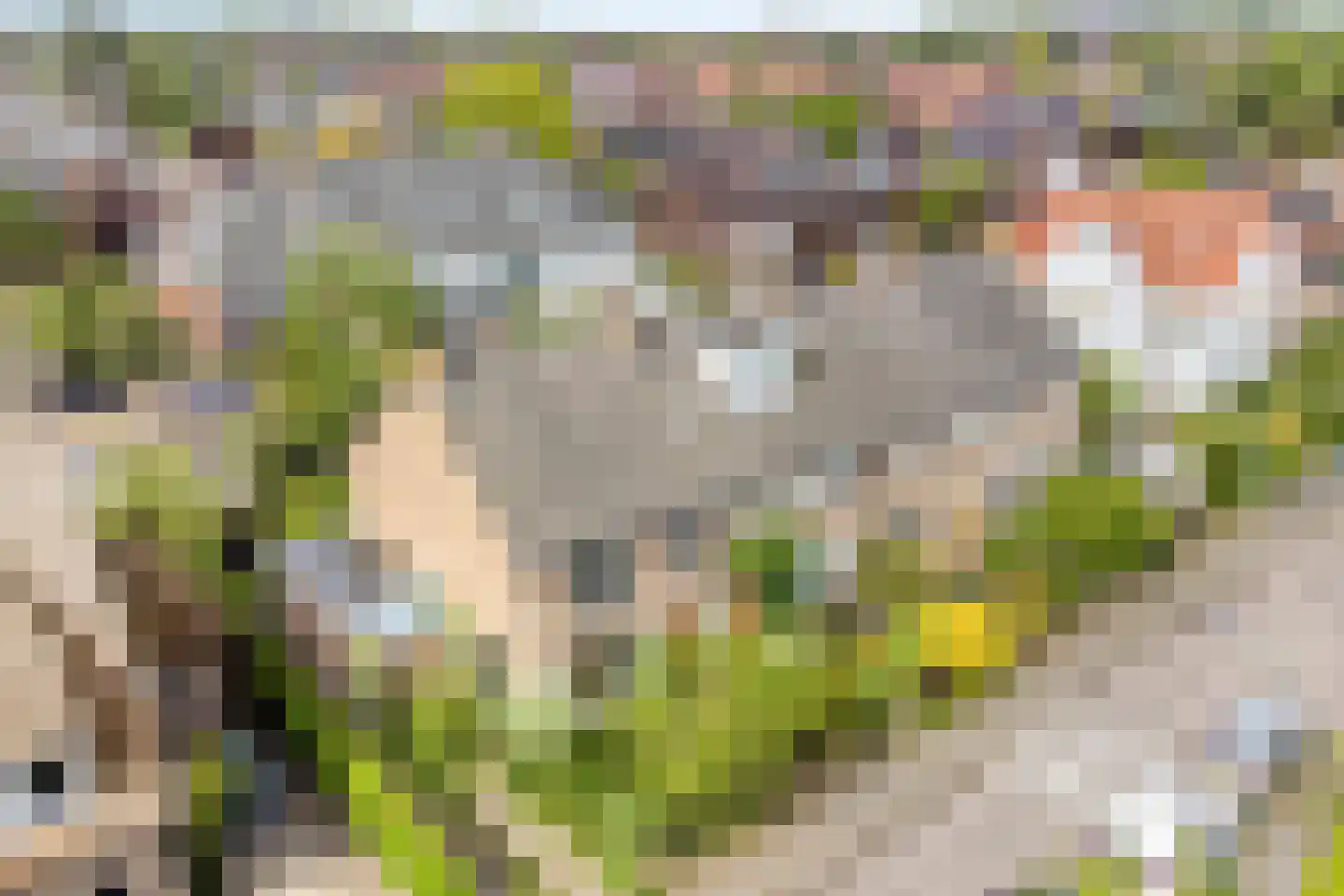 Laan van Arenstein 20 Oegstgeest thumbnail 36
