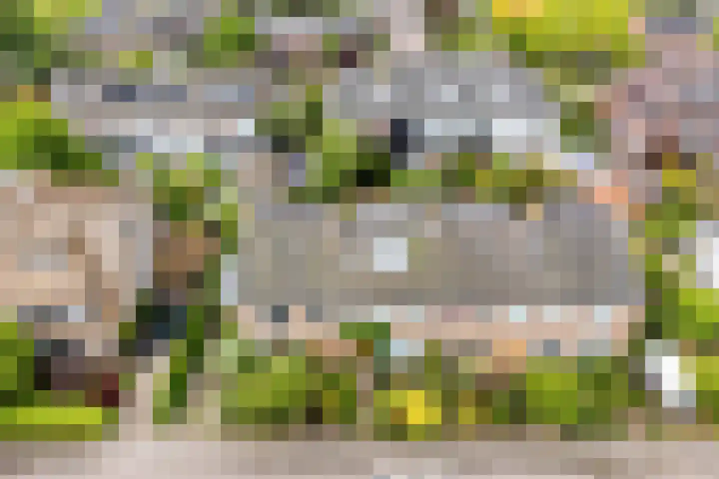 Laan van Arenstein 20 Oegstgeest thumbnail 37