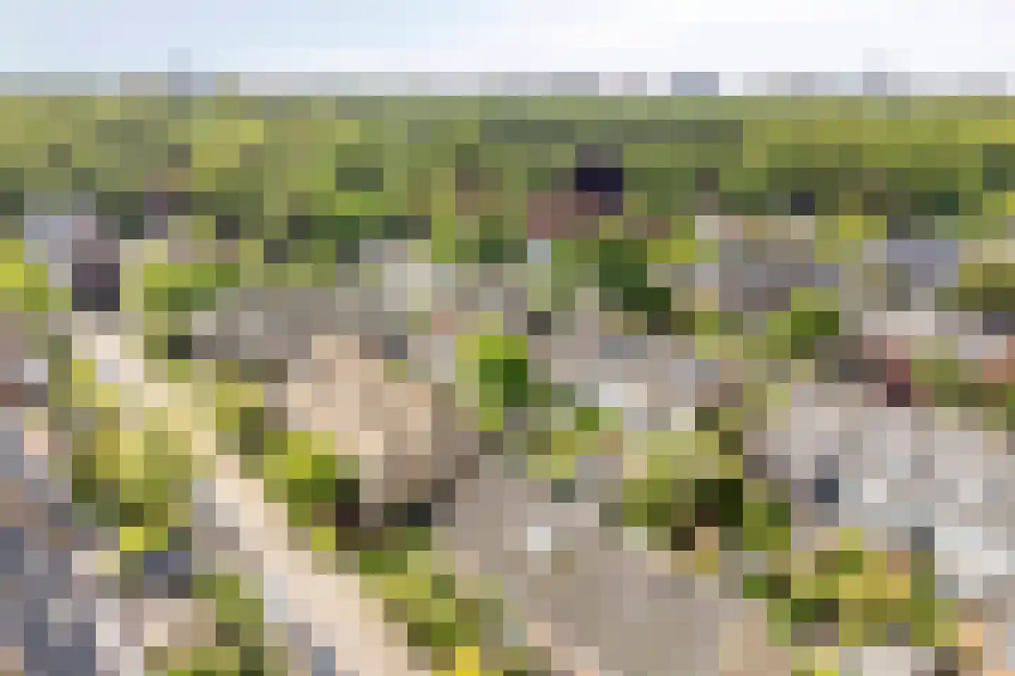 Laan van Arenstein 20 Oegstgeest thumbnail 38