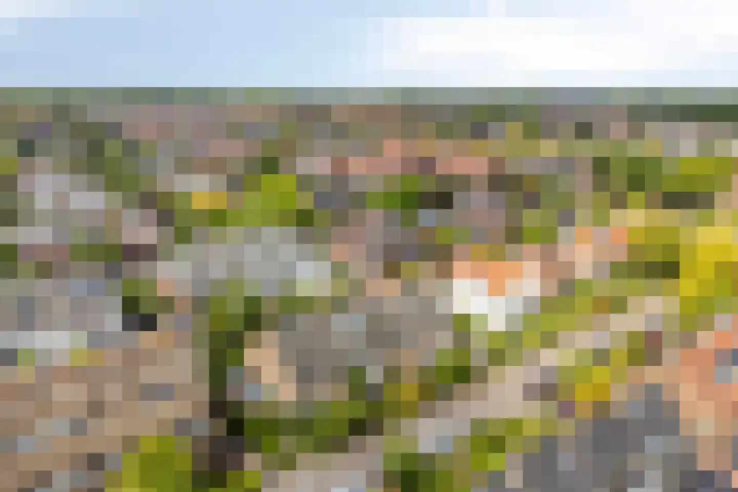 Laan van Arenstein 20 Oegstgeest thumbnail 39