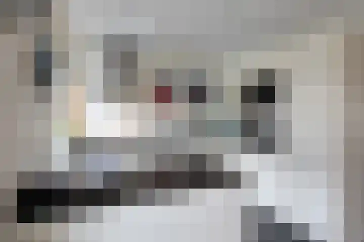 Laan van Arenstein 37 Oegstgeest thumbnail 12