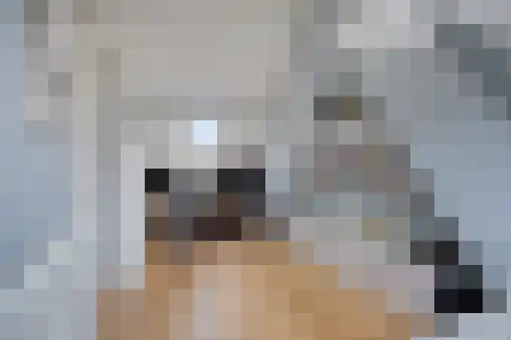 Laan van Arenstein 37 Oegstgeest thumbnail 26