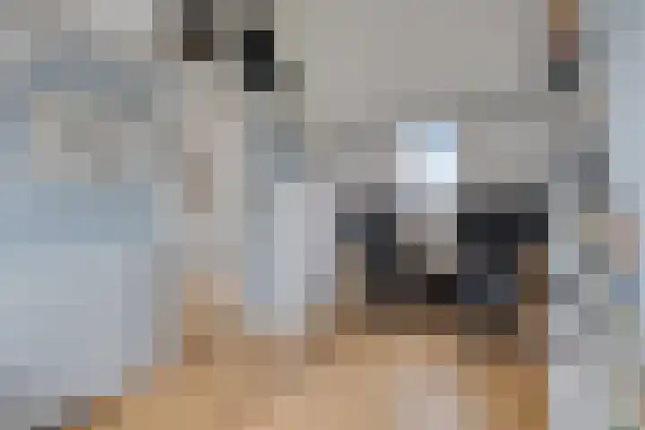Laan van Arenstein 37 Oegstgeest thumbnail 27