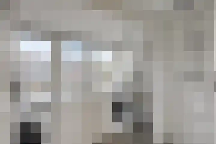 Laan van Arenstein 37 Oegstgeest thumbnail 29