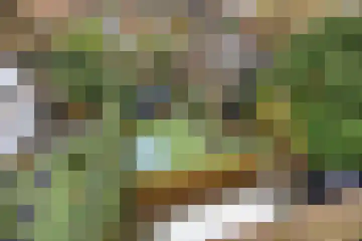 Laan van Arenstein 37 Oegstgeest thumbnail 33
