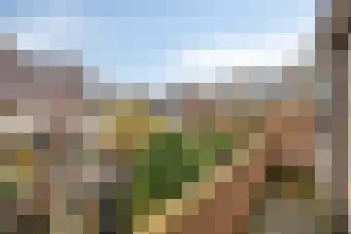 Laan van Arenstein 37 Oegstgeest thumbnail 34