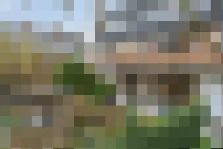 Laan van Arenstein 37 Oegstgeest thumbnail 35