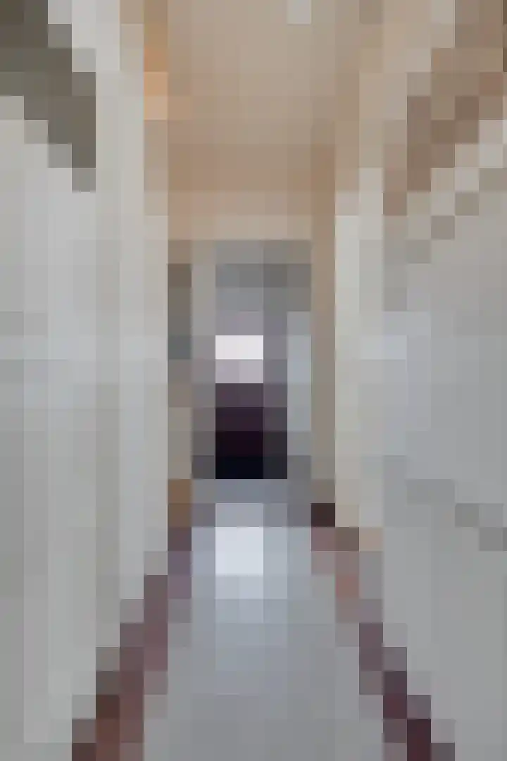 Laan van Arenstein 37 Oegstgeest thumbnail 4