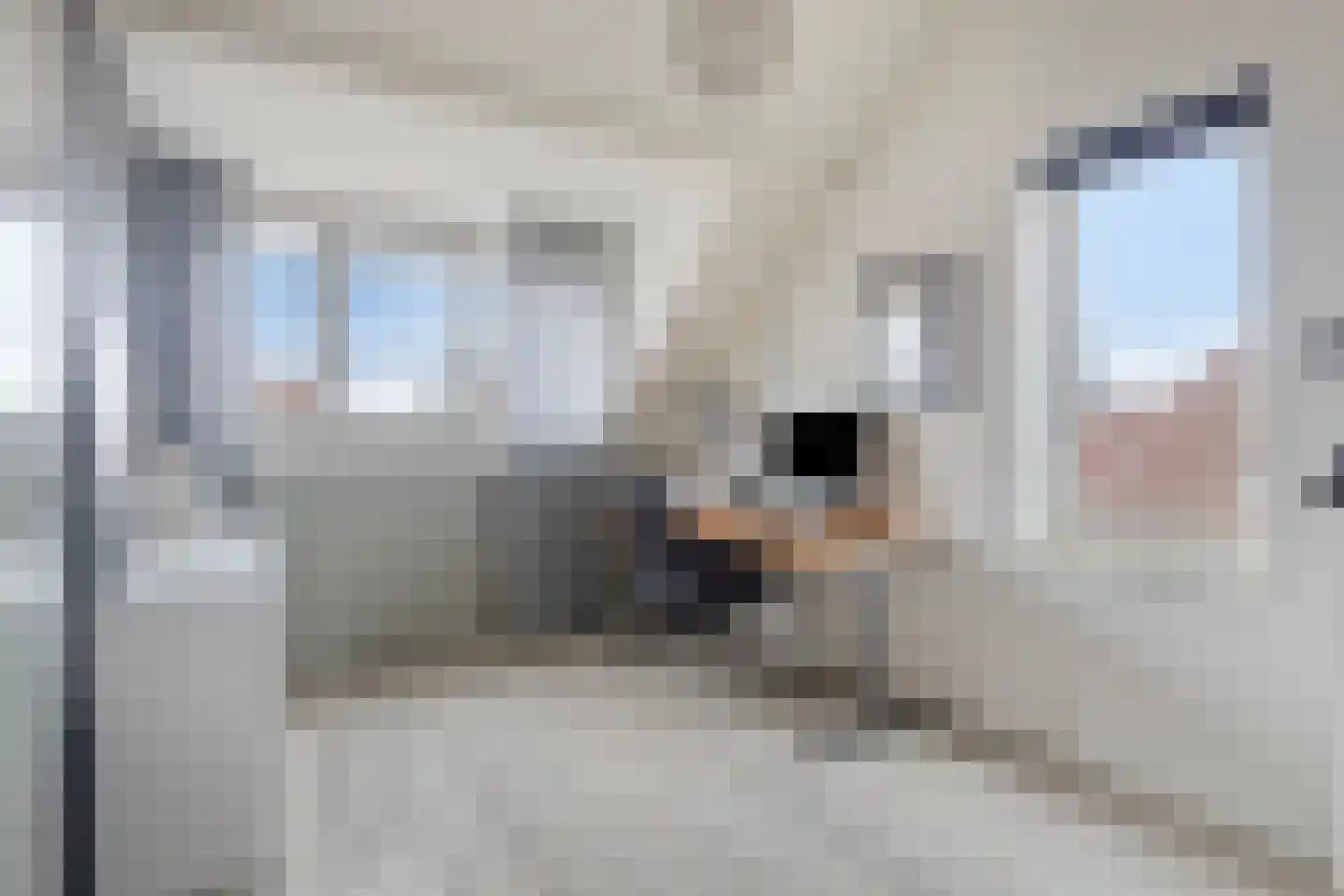 Laan van Assumburg 26 b Heemskerk thumbnail 25