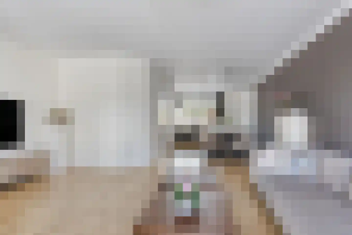 Laan van Australië 17 Drunen thumbnail 11