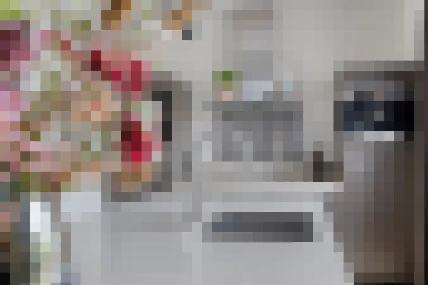 Laan van Australië 17 Drunen thumbnail 15