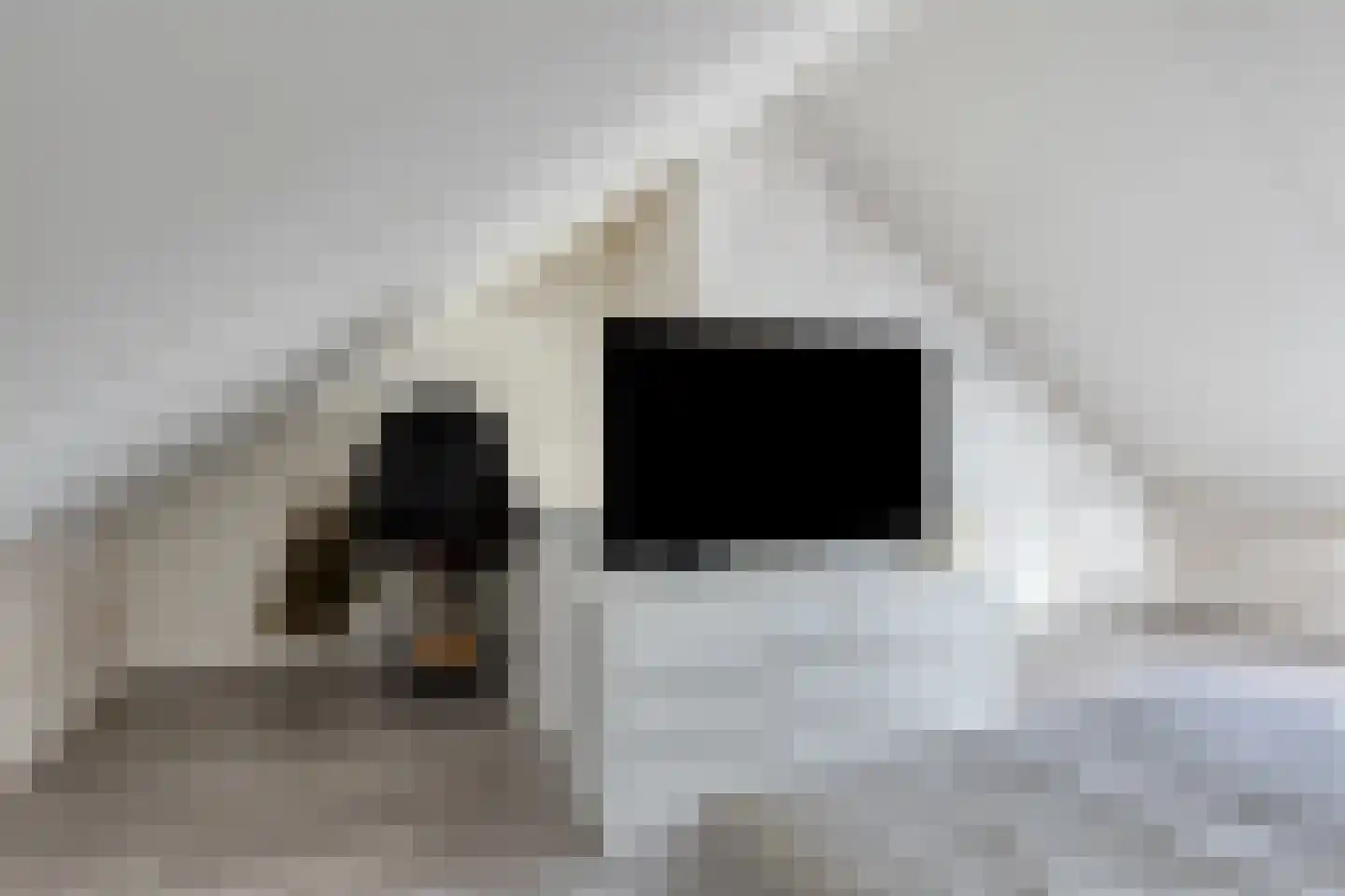 Laan van Australië 17 Drunen thumbnail 30