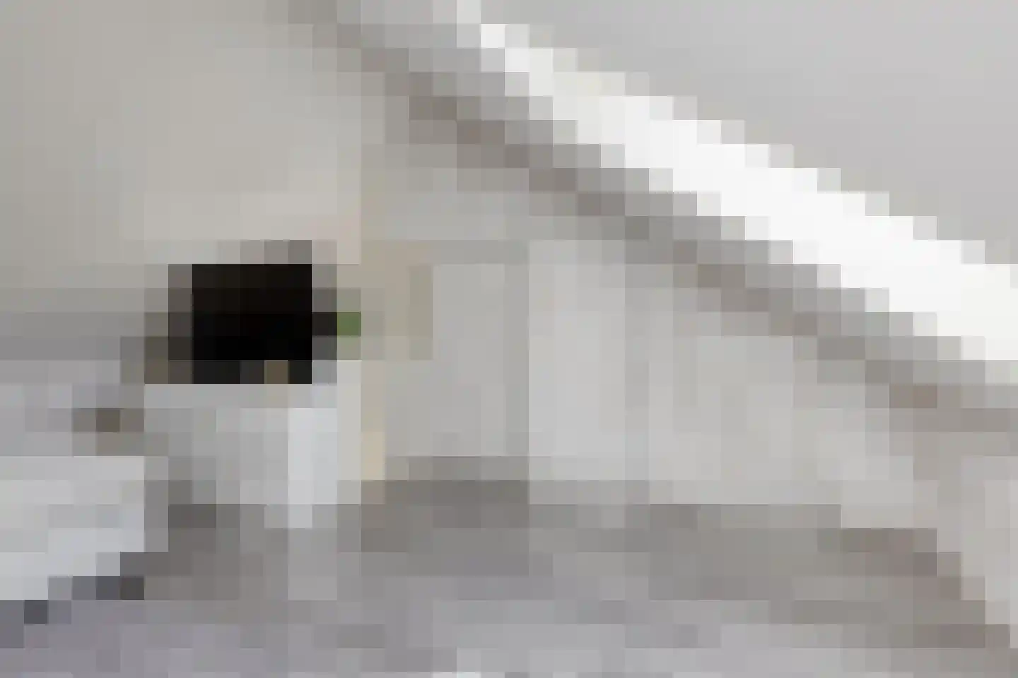 Laan van Australië 17 Drunen thumbnail 32