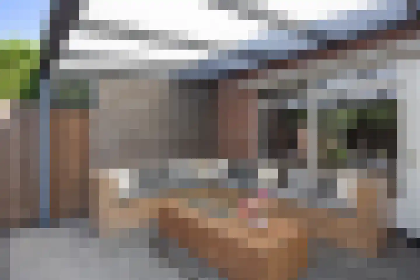 Laan van Australië 17 Drunen thumbnail 33