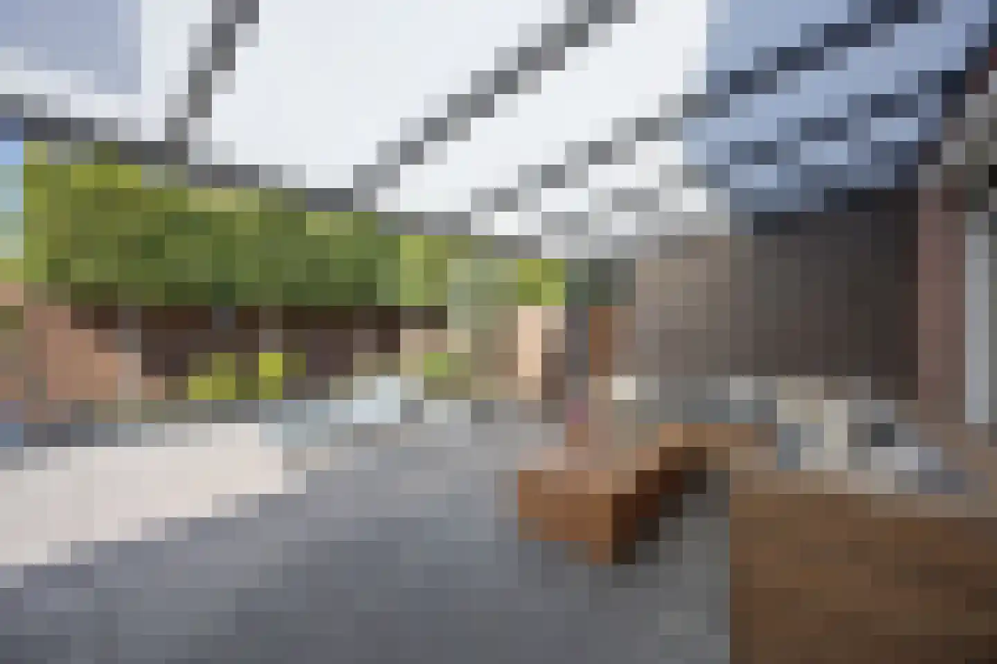 Laan van Australië 17 Drunen thumbnail 34