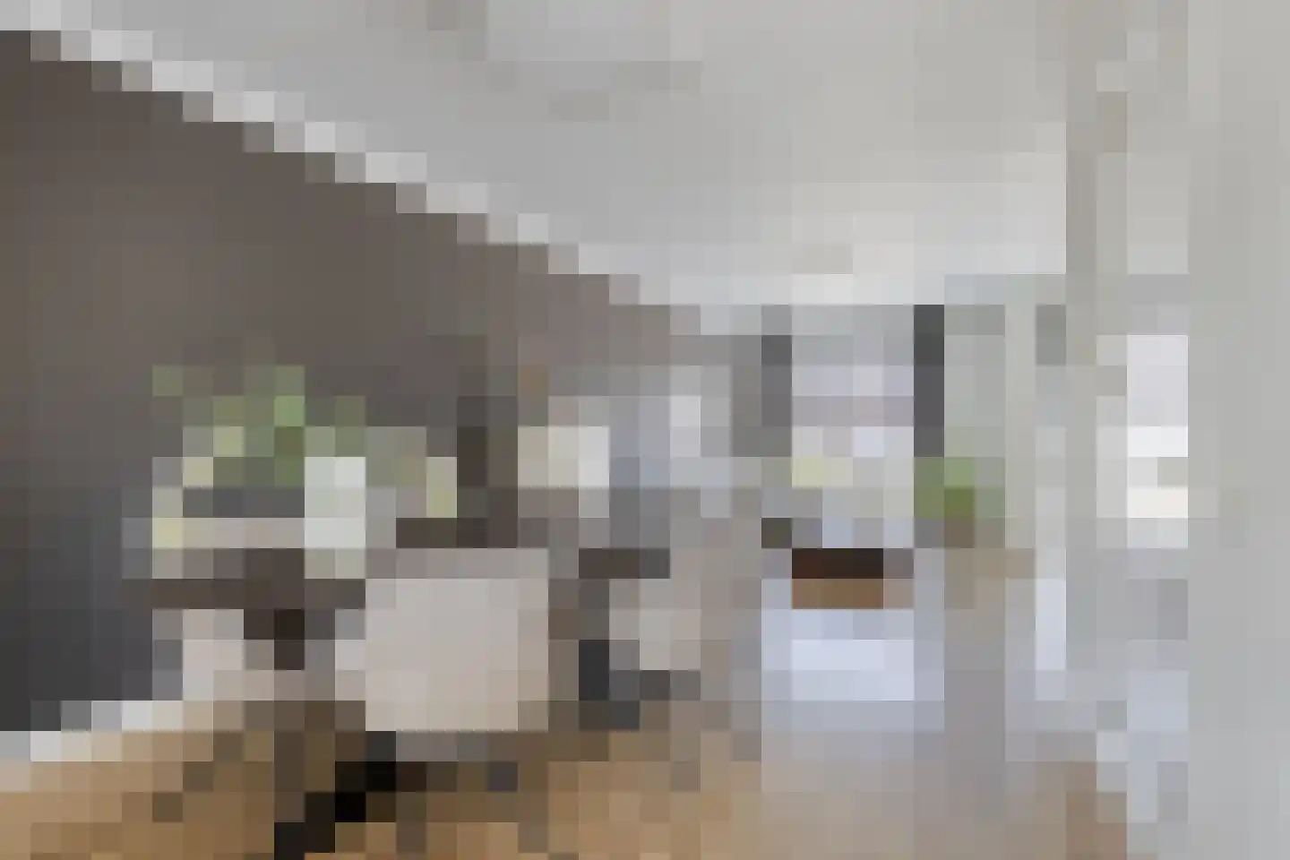 Laan van Australië 17 Drunen thumbnail 8