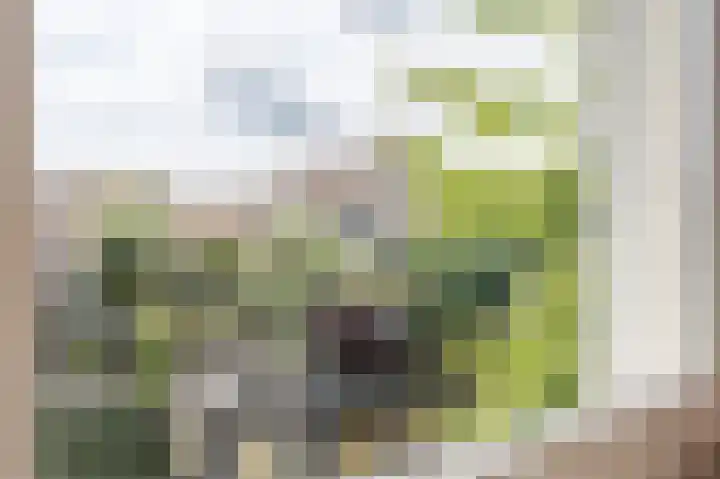 Laan van Avant-Garde 132 Rotterdam thumbnail 21