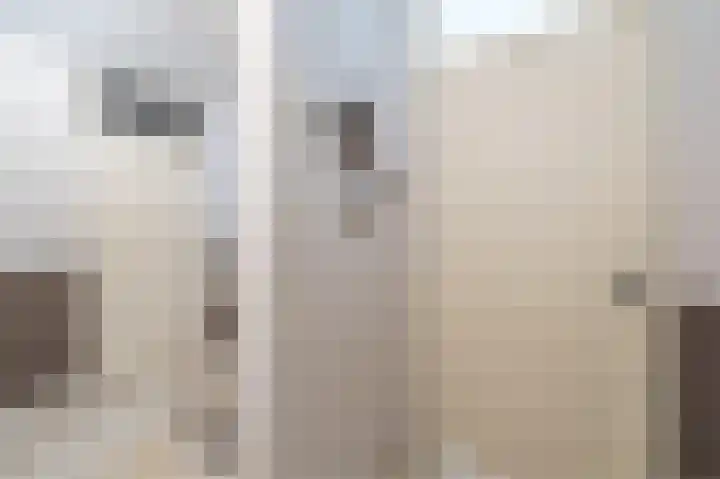 Laan van Avant-Garde 132 Rotterdam thumbnail 31