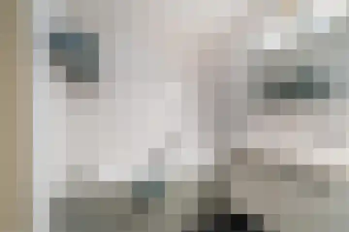 Laan van Avant-Garde 132 Rotterdam thumbnail 34