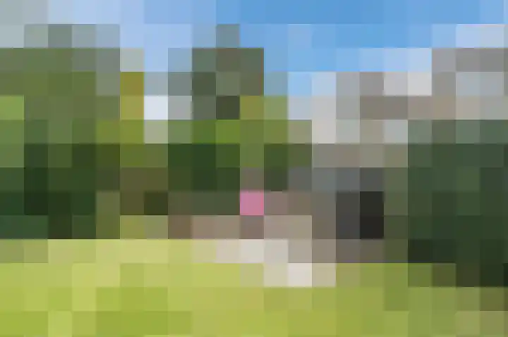 Laan van Avant-Garde 132 Rotterdam thumbnail 39
