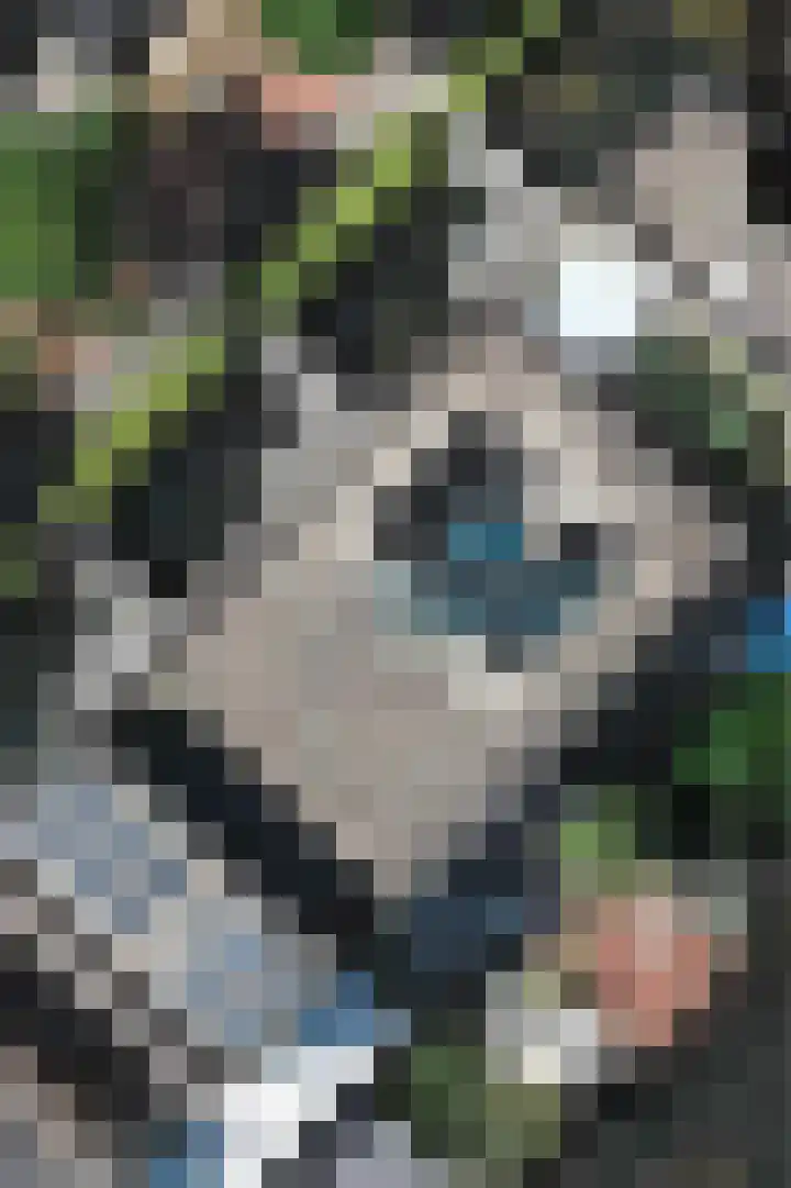 Laan van Avant-Garde 132 Rotterdam thumbnail 49