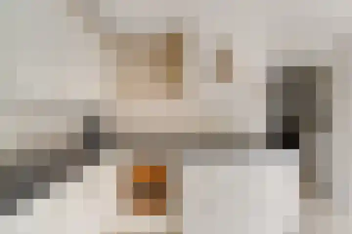 Laan van Avant-Garde 162 Rotterdam thumbnail 11