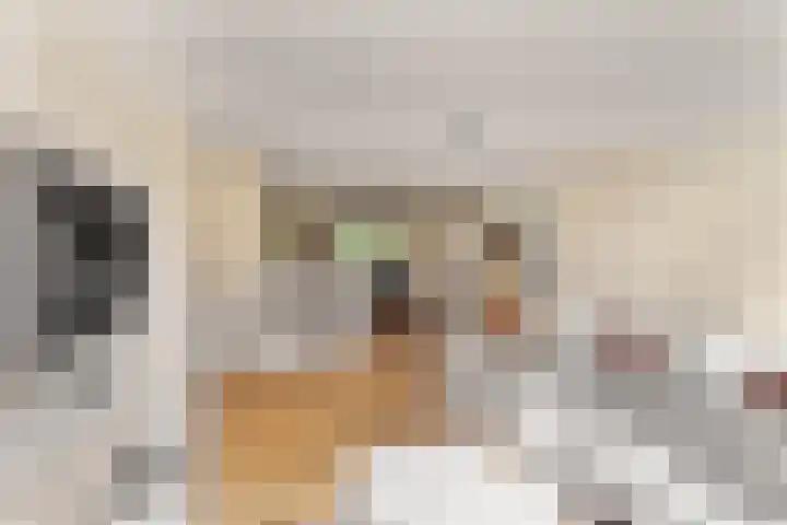 Laan van Avant-Garde 162 Rotterdam thumbnail 14
