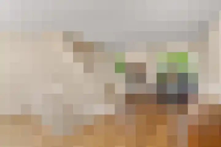 Laan van Avant-Garde 162 Rotterdam thumbnail 15