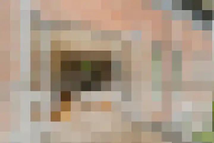 Laan van Avant-Garde 162 Rotterdam thumbnail 17