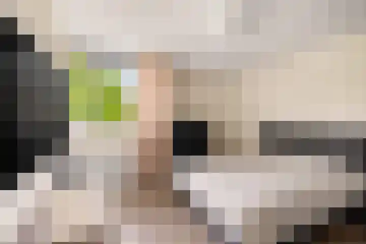 Laan van Avant-Garde 162 Rotterdam thumbnail 18