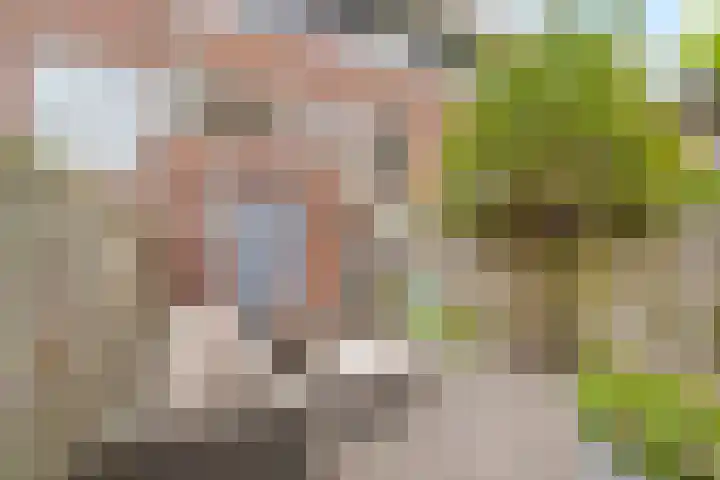 Laan van Avant-Garde 162 Rotterdam thumbnail 27