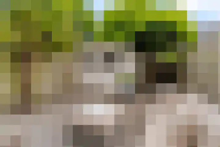Laan van Avant-Garde 162 Rotterdam thumbnail 29