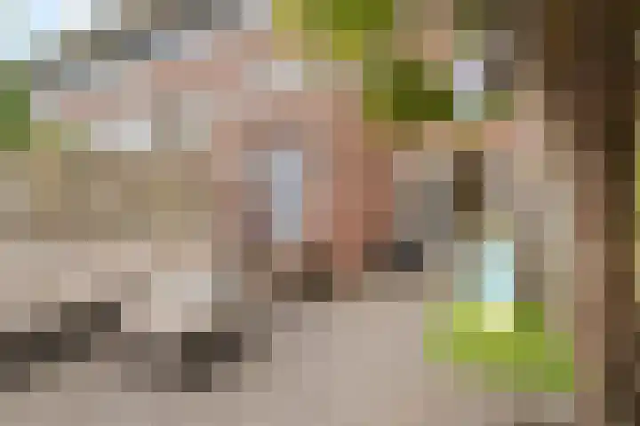 Laan van Avant-Garde 162 Rotterdam thumbnail 30