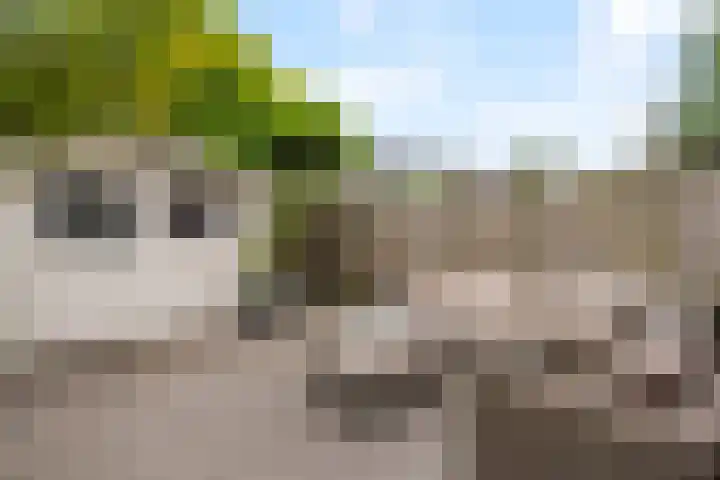 Laan van Avant-Garde 162 Rotterdam thumbnail 4