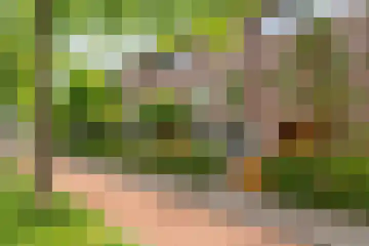 Laan van Avant-Garde 162 Rotterdam thumbnail 6