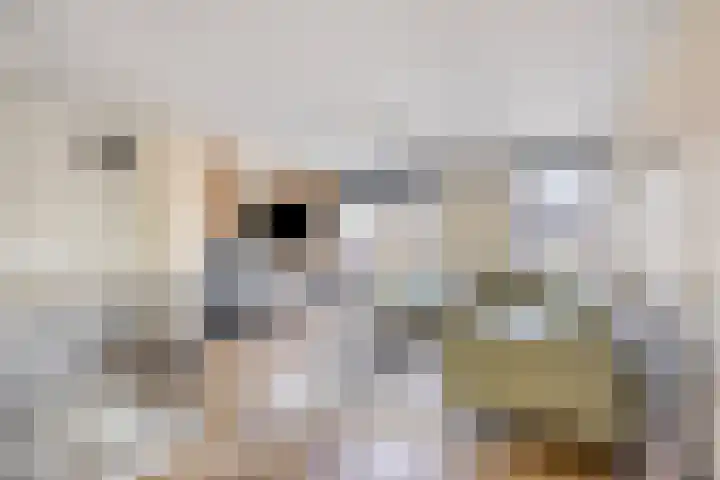 Laan van Avant-Garde 180 Rotterdam thumbnail 19