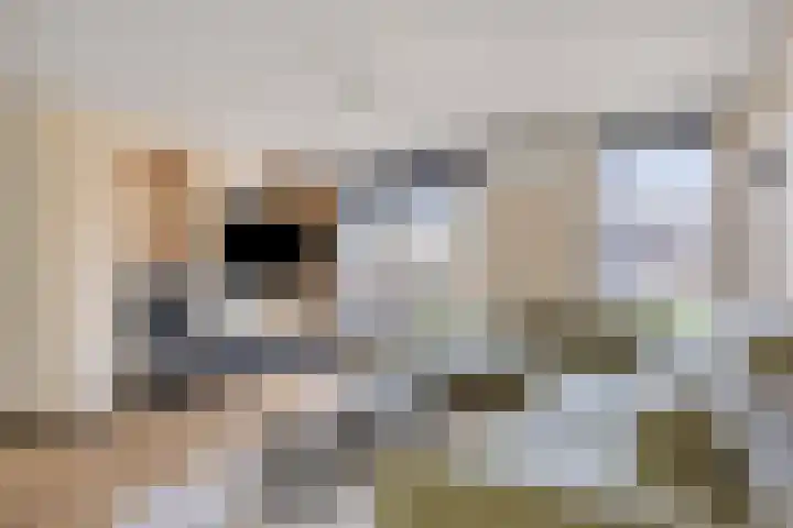 Laan van Avant-Garde 180 Rotterdam thumbnail 20
