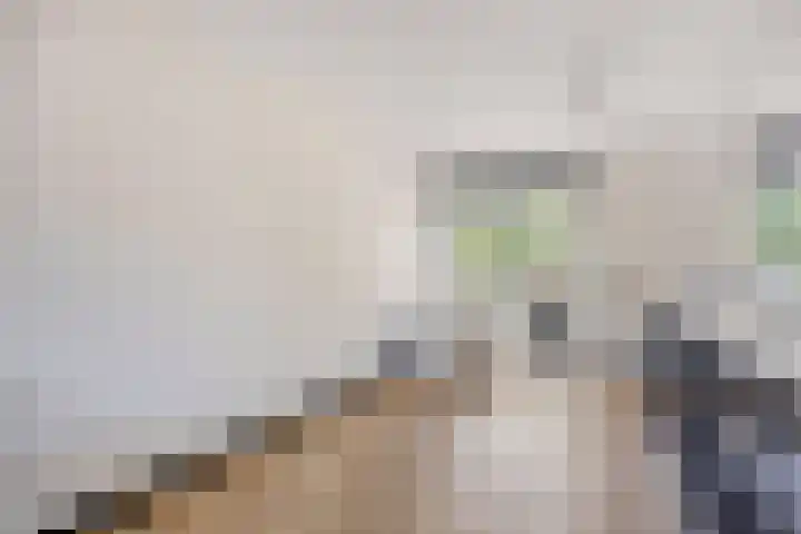 Laan van Avant-Garde 180 Rotterdam thumbnail 25
