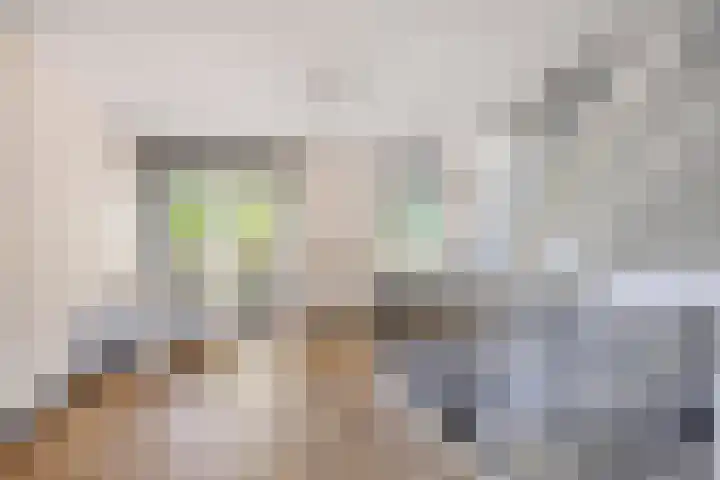 Laan van Avant-Garde 180 Rotterdam thumbnail 26