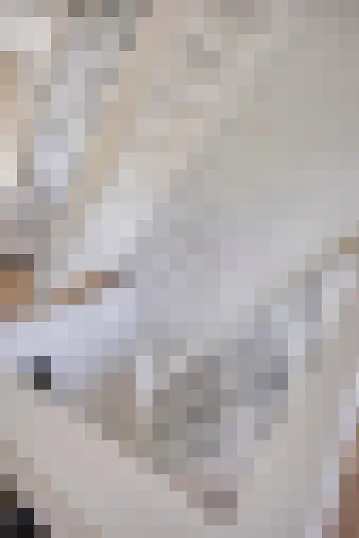 Laan van Avant-Garde 180 Rotterdam thumbnail 30